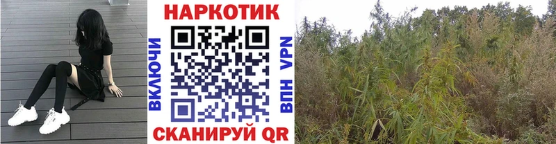 ГАШИШ Армянск