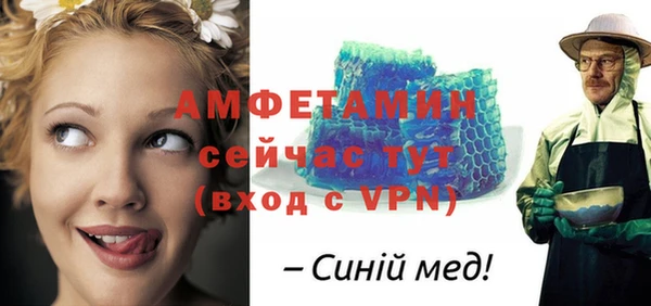 молекула духа Осташков