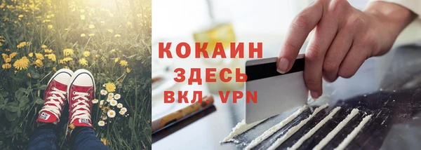 бошки Пересвет