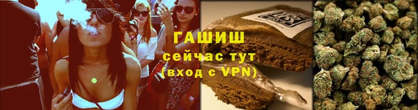 молекула духа Осташков