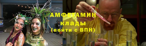 стаф Осинники