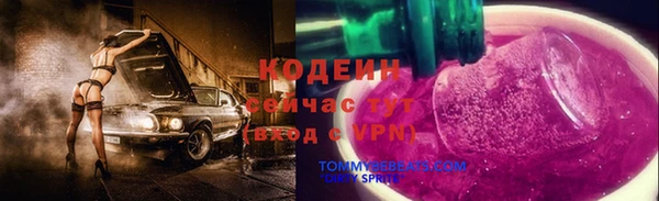 стаф Осинники