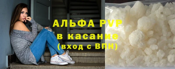 молекула духа Осташков