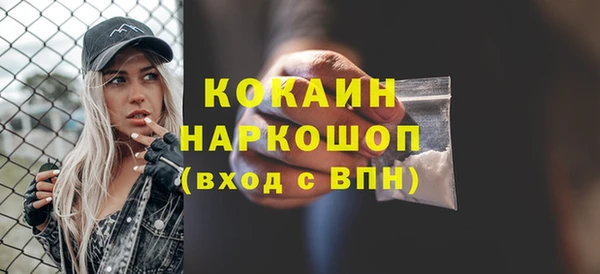бошки Пересвет