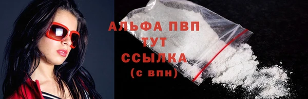 стаф Осинники