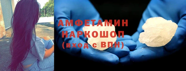молекула духа Осташков