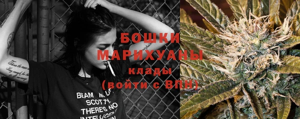 бошки Пересвет