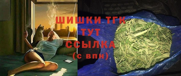 молекула духа Осташков