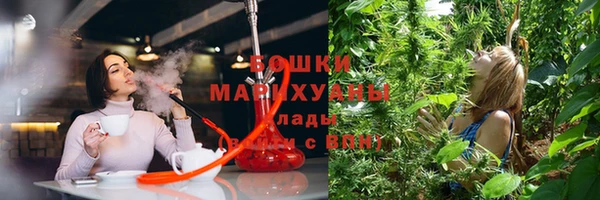 молекула духа Осташков