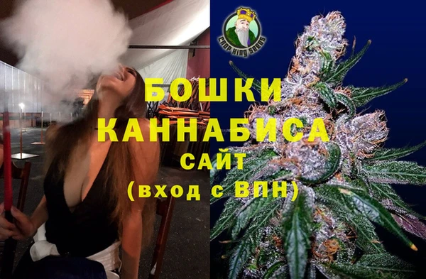 молекула духа Осташков
