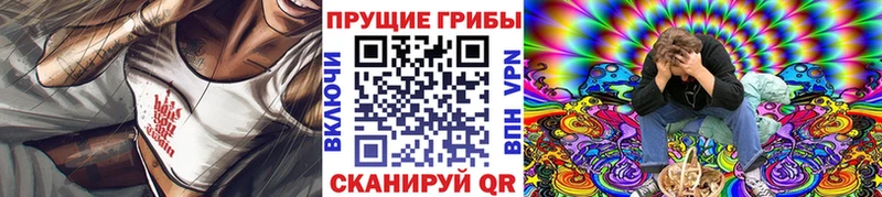 Галлюциногенные грибы Psilocybe  где купить наркоту  Армянск 